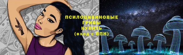 СК Аркадак